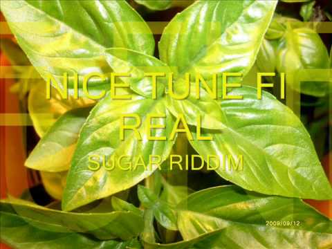 NEW 2010 HOTTEST DANCEHALL REGGAE LOVERS ROCK MIX DJ MAJAH BLAK AGAIN