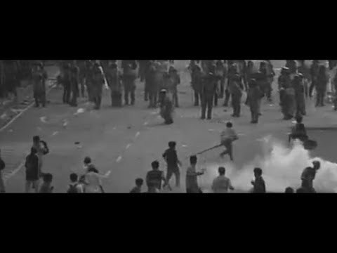 Revenwolf - Human Story (Official Music Video)