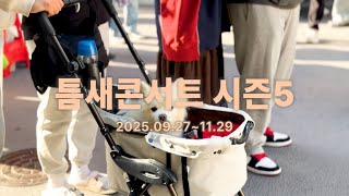 틈새콘서트 시즌5