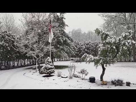 Greenville RI 04.16.2021 SNOW