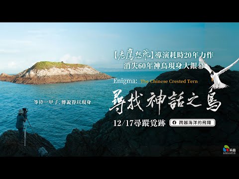 12/17【尋找神話之鳥】台灣官方正式預告︱【老鷹想飛】導演耗時20年動人力作，消失60年神話之鳥現身大銀幕！