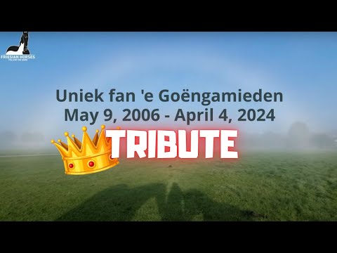 Tribute to Queen👑Uniek, we miss her😢| Friesian Horses