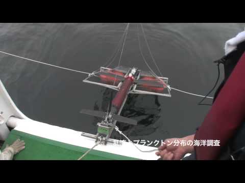 海洋電子機械工学科 東京海洋大学Scientist Profile 山崎 秀勝