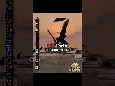 PERDOARTE TODOS OS PECADOS