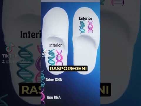 ANA VOLŠ - NOVI tragovi