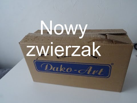 Niespodzianka nowy zwierzak z okazji 8 lat mojego kanału na you tube