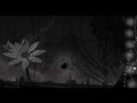 " ode to confusion " music video