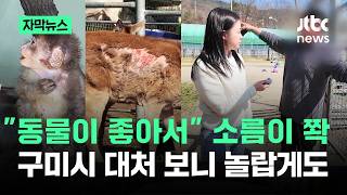 [자막뉴스] 동물이 좋아서 소름이 쫙…구미시 대처 보니 놀랍게도 / JTBC News