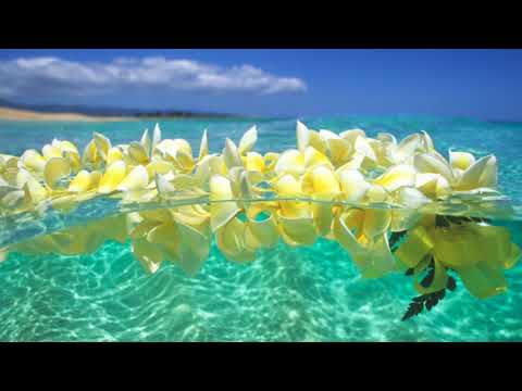 OFFICIAL Wah! Healing Visualisations - Water and Sand