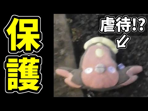 ポケモン剣盾 ホウオウにあるアイテムを持たせたらタイプ相性ガン無視する最強ポケモンになって草ｗｗｗｗｗｗｗｗｗ