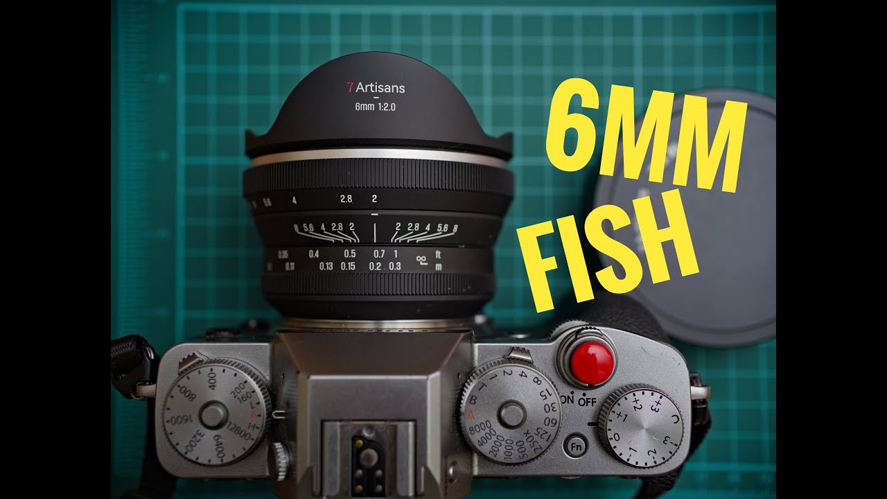 Video thumbnail for Video Review 3