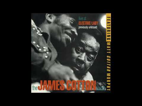 James Cotton - Live at Electric Lady - Blues Music [full album]