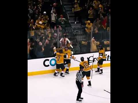 Tomas Hertl has Arrived #vegasgoldenknights #goldenknights #vgk #nhl #playoffs #stanleycup