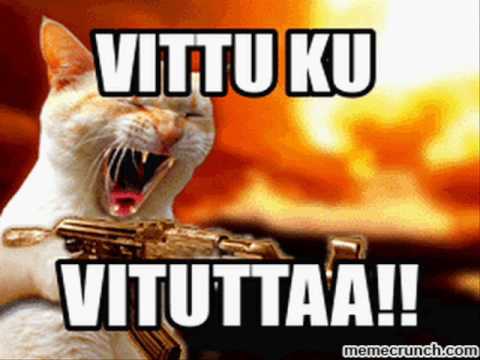 Tommy tabermann  kiitti vitusti