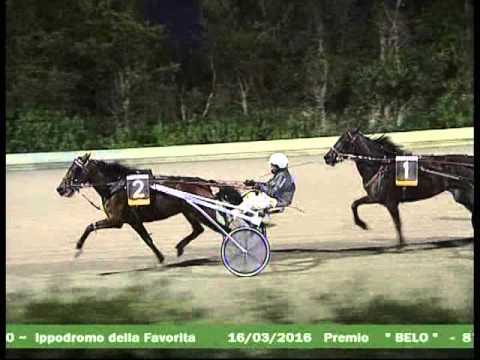 8° CORSA  del 16 MARZO 2016