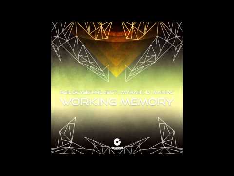 Psilocybe Project & Myrah & D Maniac -  Working Memory