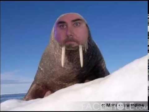 Giant Bombcast 12/01/2015 - Jeff's Still Not A Fan of Shenmue