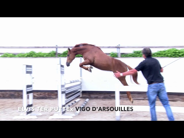 JUMPING