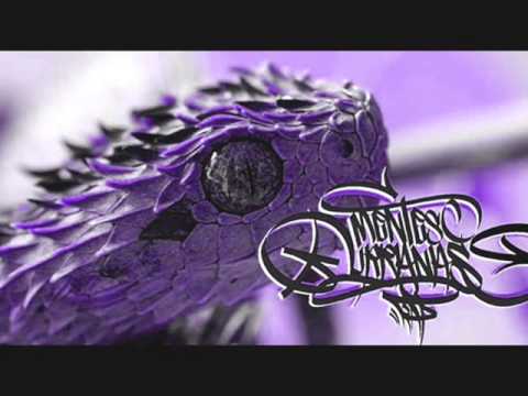 MUR CREW  - INTERROGATIVO