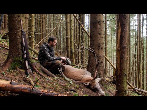 Wölfe! – Hirschjagd in den Karpaten zur Brunft Teil 2 –  Hunt on Demand Trailer