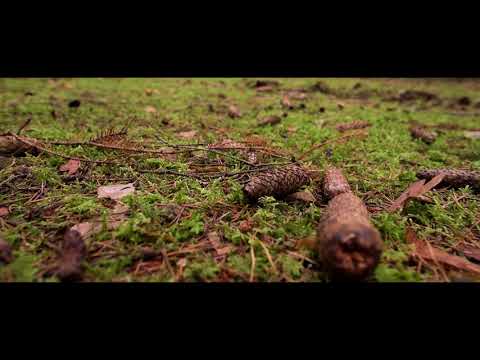 Zhiyun Crane 2 - The first attempt