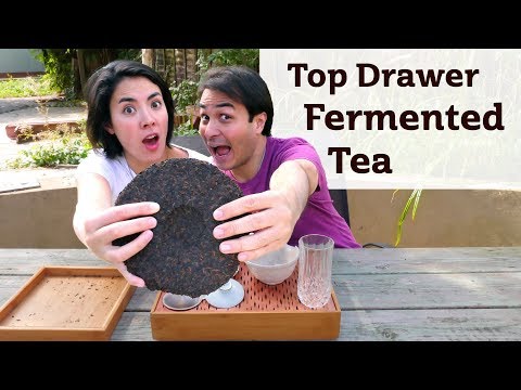 Top Drawer Fermented Tea