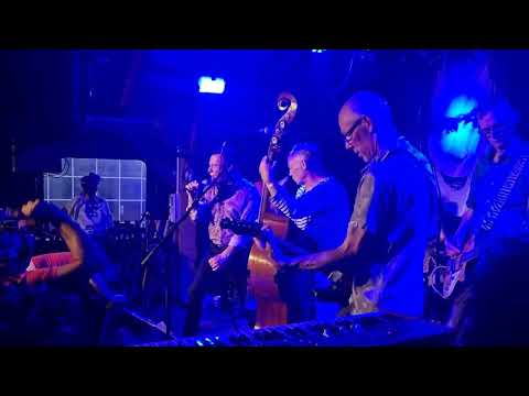 The Sting-Rays munster 2022