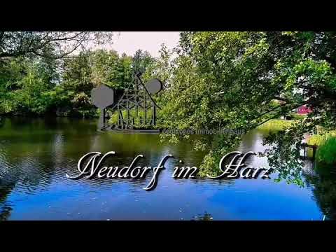 Ein #Ferienhaus in #Neudorf im #Harz