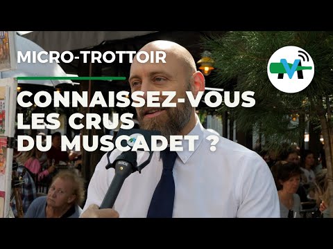 Connaissez-vous les vins du Muscadet ? Le micro-trottoir
