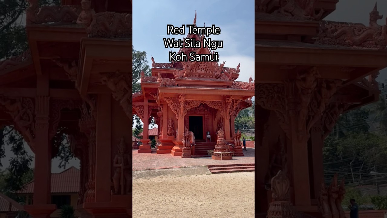 YouTube Short thumbnail