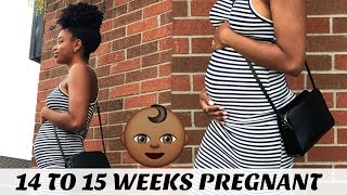 14 WEEKS - 15 WEEKS PREGNANCY UPDATE | FEELING THE BABY MOVE!
