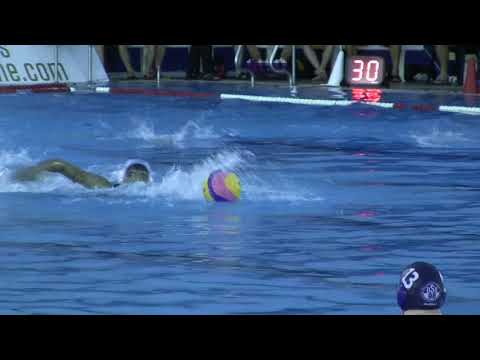 Wasserball-Bundesliga: SC Neustadt - Duisburger SV