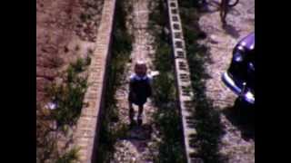 The Wilson Family Band - Family Ties