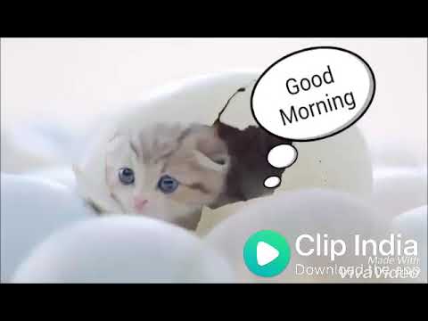 Vest Good Morning wishes for your friend