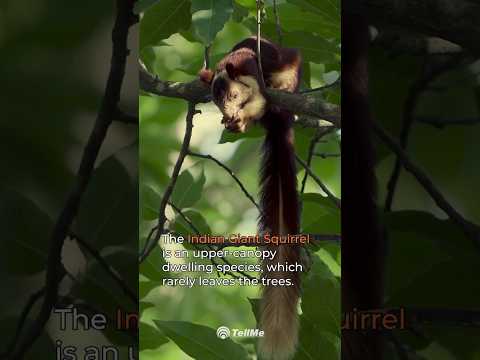 Charminar Attractions point in Hyderabad, Telangana | Symbol of Hyderabad