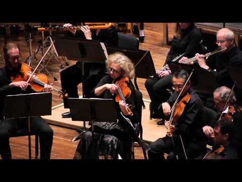 Happy Hour Fan Cam - Columbus Symphony Orchestra