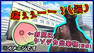 【猫ミーム】お尻にクソデカ出来物ができたので、プチ手術してもらった時のお話 #猫ミーム
