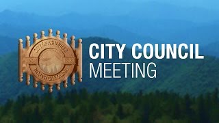 City Council Meeting - May 9, 2017
