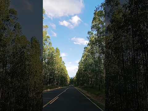 ITIRAPINA-SP🛣️🚙🌎#shortvideo #trucking #viagem #saopaulo #national #shorts #estrada #uber