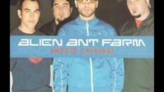 Alien Ant Farm - Calico [ANThology]