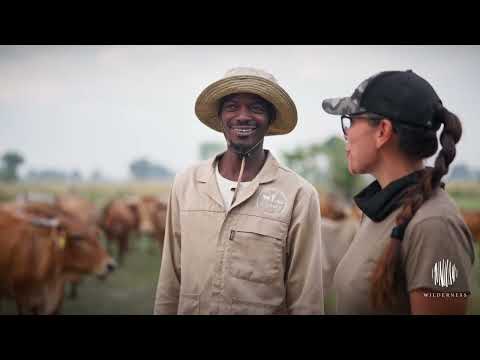Stories Of Change: CLAWS & Wilderness