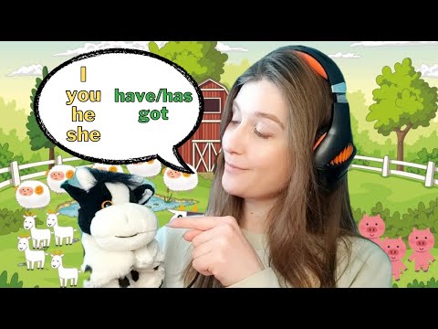 I, you, he, she HAVE/HAS got