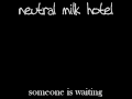 Neutral Milk Hotel - Someone Is Waiting (Beauty version)