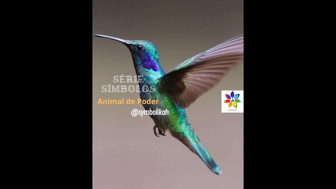 Símbolos: Animal de Poder - O Beija-flor no Xamanismo #espiritualidade #símbolos #animaldepoder