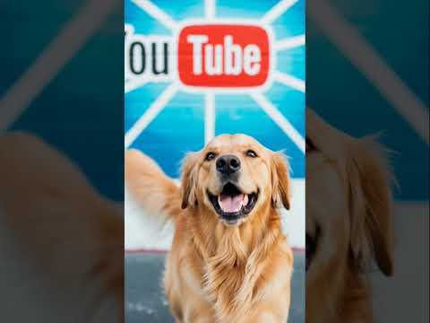 Thumbnail for #DreamScreenAI #music #batman #lifeisbutadream #dancesong # #whowillbemylifepartnerta #cat