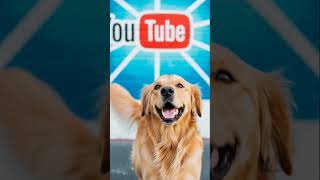 #DreamScreenAI #music #batman #lifeisbutadream #dancesong # #whowillbemylifepartnerta #cat