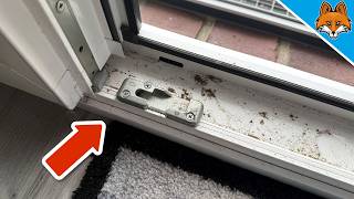 EASIEST Way To Clean Window Tracks💥(AMAZING)🤯