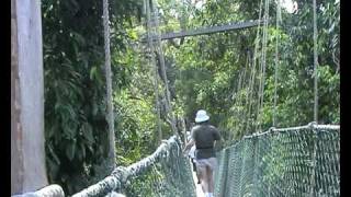 preview picture of video 'Mutiara Taman Negara Walking in the air Malaysia'