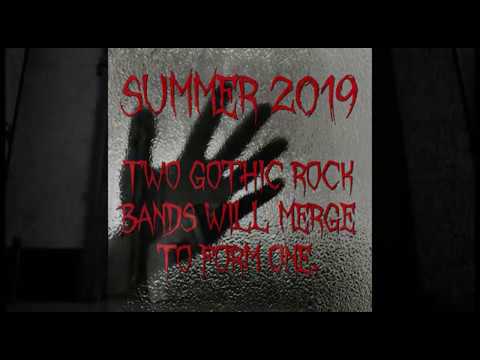 SHADOW ASSEMBLY - Coming Summer 2019