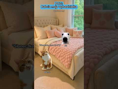 KOCIE MEMY 😼 POV: Babcia moja wybawicielka #catmemes #koty #memy #relatable #relacje